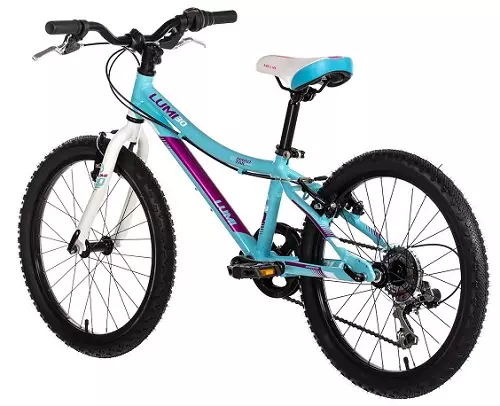 Höghastighetscyklar för tjejer (23 bilder): Hur man väljer en cykel för en tjej från 9 till 12 år? Egenskaper av cyklar med hastigheter för ungdomar från 14 år 8489_20