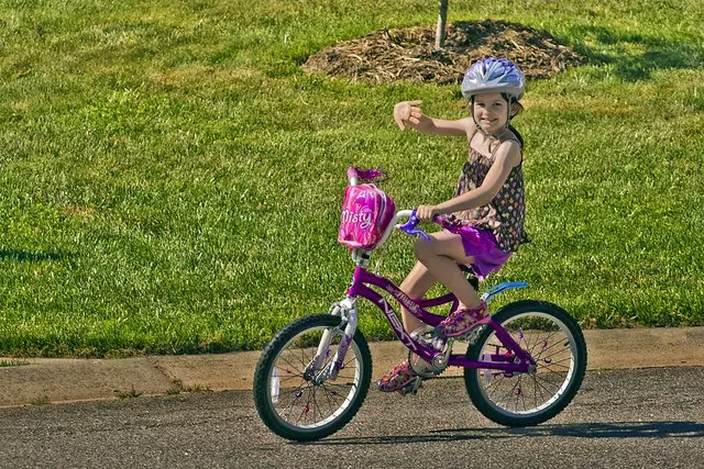 Bicicletas de alta velocidade para nenas (23 fotos): Como elixir unha bicicleta para unha rapaza de 9 a 12 anos? Características de bicicletas con velocidades para mozas adolescentes de 14 anos 8489_22