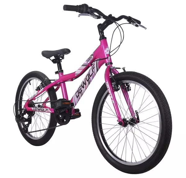 Høyhastighets sykler for jenter (23 bilder): Hvordan velge en sykkel for en jente fra 9 til 12 år? Kjennetegn på sykler med hastigheter for ungdomsjenter fra 14 år 8489_4