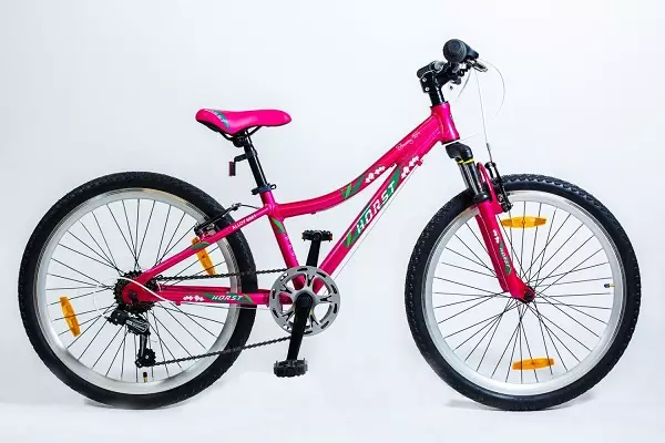 Basikal berkelajuan tinggi untuk kanak-kanak perempuan (23 gambar): Bagaimana untuk memilih basikal untuk seorang gadis dari 9 hingga 12 tahun? Ciri-ciri basikal dengan kelajuan untuk kanak-kanak perempuan remaja dari 14 tahun 8489_7