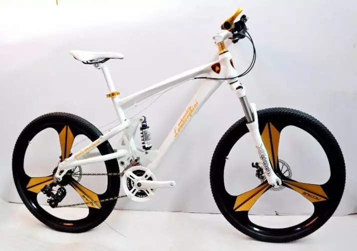 Xe đạp trên bánh xe hợp kim (35 ảnh): Ưu và nhược điểm Đúc thay vì gia vị, Đĩa xe đạp màu xanh lá cây và Porsche, Audi và Ferrari, Chủ sở hữu Nhận xét 8491_14