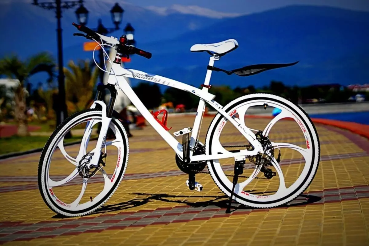 Бицикл на алуминијумски фелне (35 фотографија): Промен и контра ливење уместо зачина, зелени бициклистички дискови и Порсцхе, Ауди и Феррари, Рецензије власника 8491_2