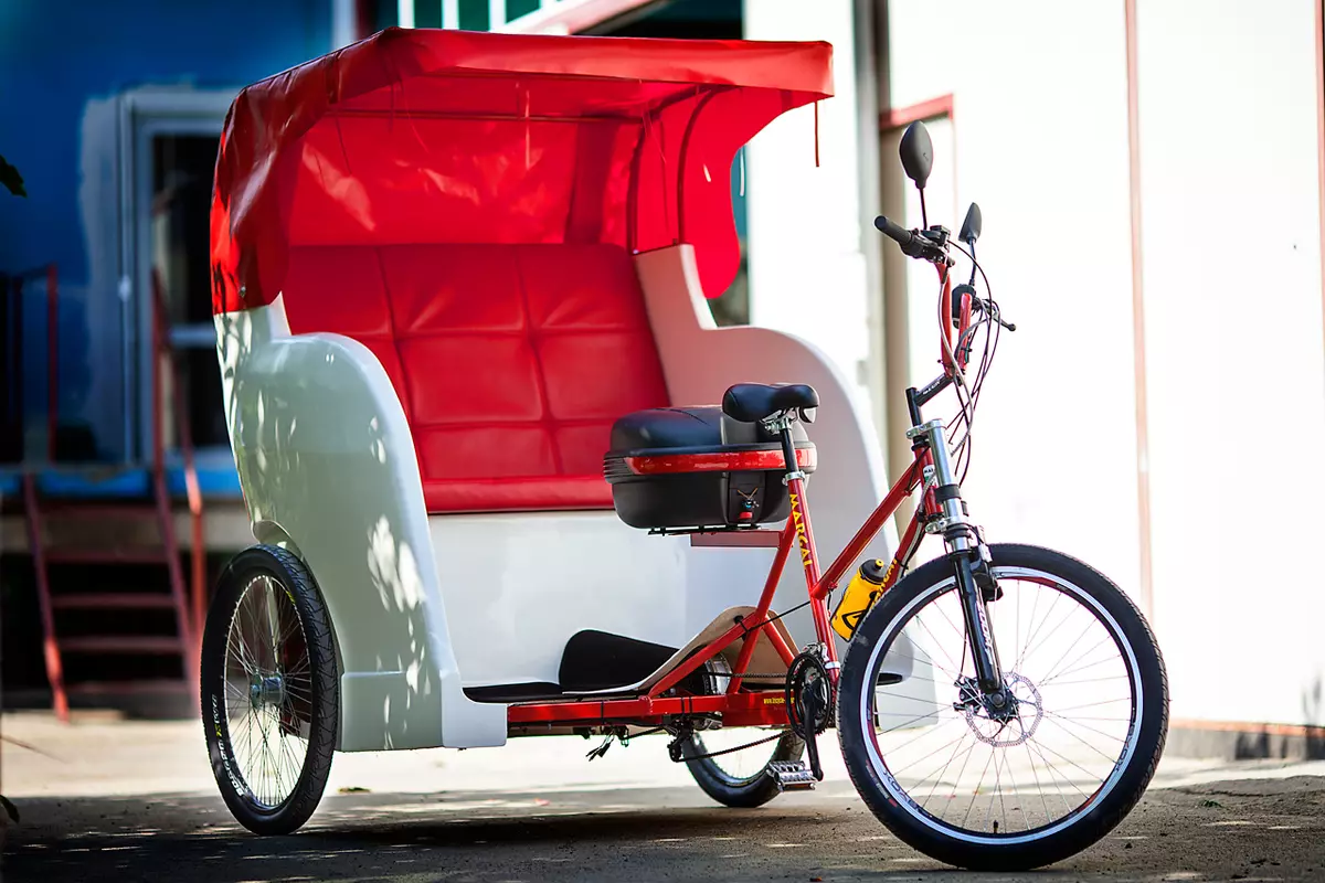 Bicicleta de tres rodas (37 fotos): Selección dun modelo cunha cesta para persoas maiores e desactivadas. Revisións de propiedade 8495_11