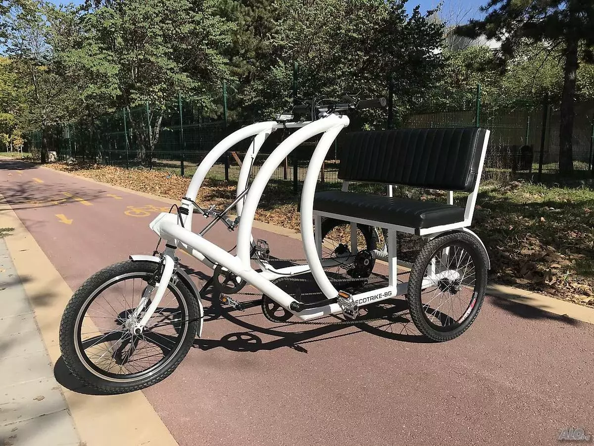 Триколісний велосипед для дорослих (37 фото): вибір моделі з кошиком для літніх людей та інвалідів. Відгуки власників 8495_12