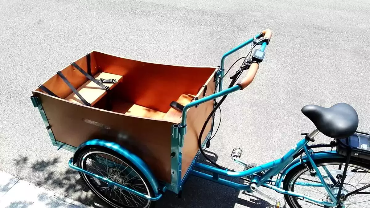 Bicicleta de tres rodas (37 fotos): Selección dun modelo cunha cesta para persoas maiores e desactivadas. Revisións de propiedade 8495_14