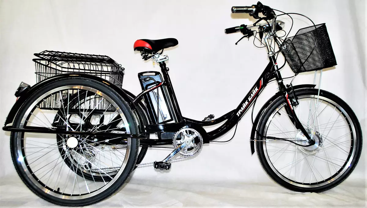 Sepeda dewasa roda tiga (37 foto): pemilihan model dengan keranjang untuk lansia dan dinonaktifkan. Kepemilikan Ulasan 8495_15