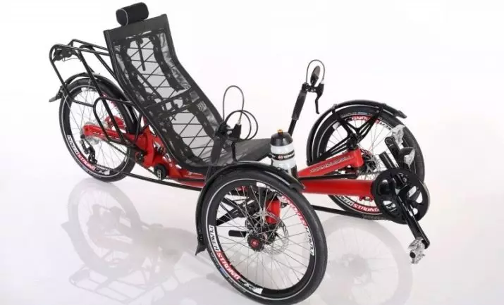 Driewielige fiets (37 foto's): selectie van een model met een mand voor ouderen en gehandicapten. Eigendom beoordelingen 8495_17