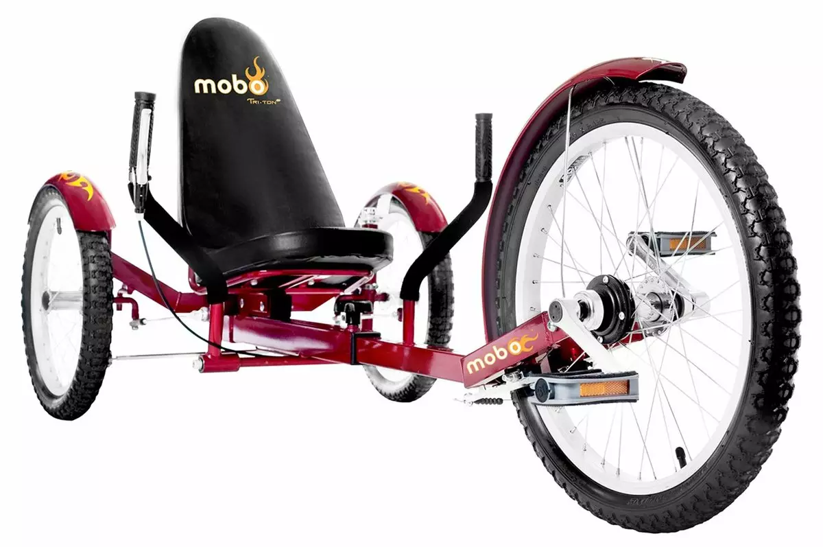 Driewielige fiets (37 foto's): selectie van een model met een mand voor ouderen en gehandicapten. Eigendom beoordelingen 8495_18