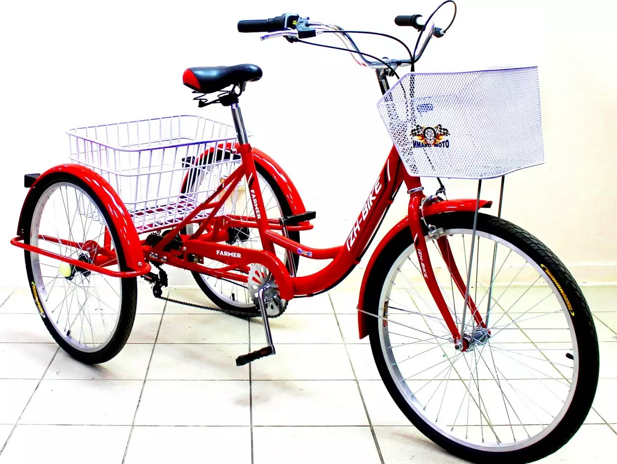 Bicicleta de tres rodas (37 fotos): Selección dun modelo cunha cesta para persoas maiores e desactivadas. Revisións de propiedade 8495_2