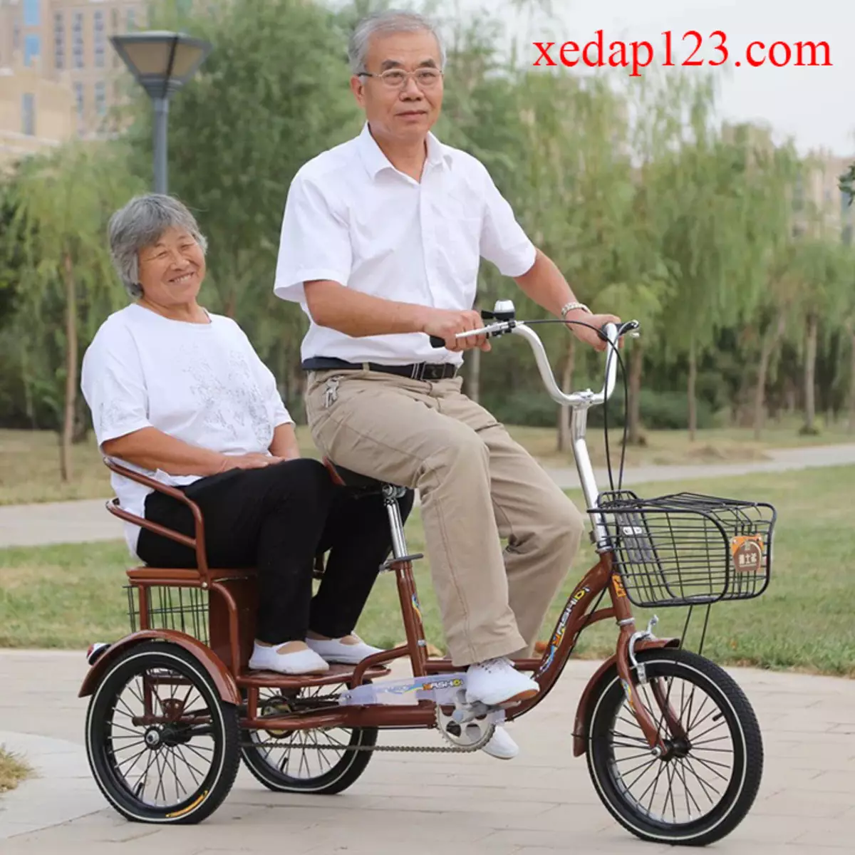 Bicicleta de tres rodas (37 fotos): Selección dun modelo cunha cesta para persoas maiores e desactivadas. Revisións de propiedade 8495_20