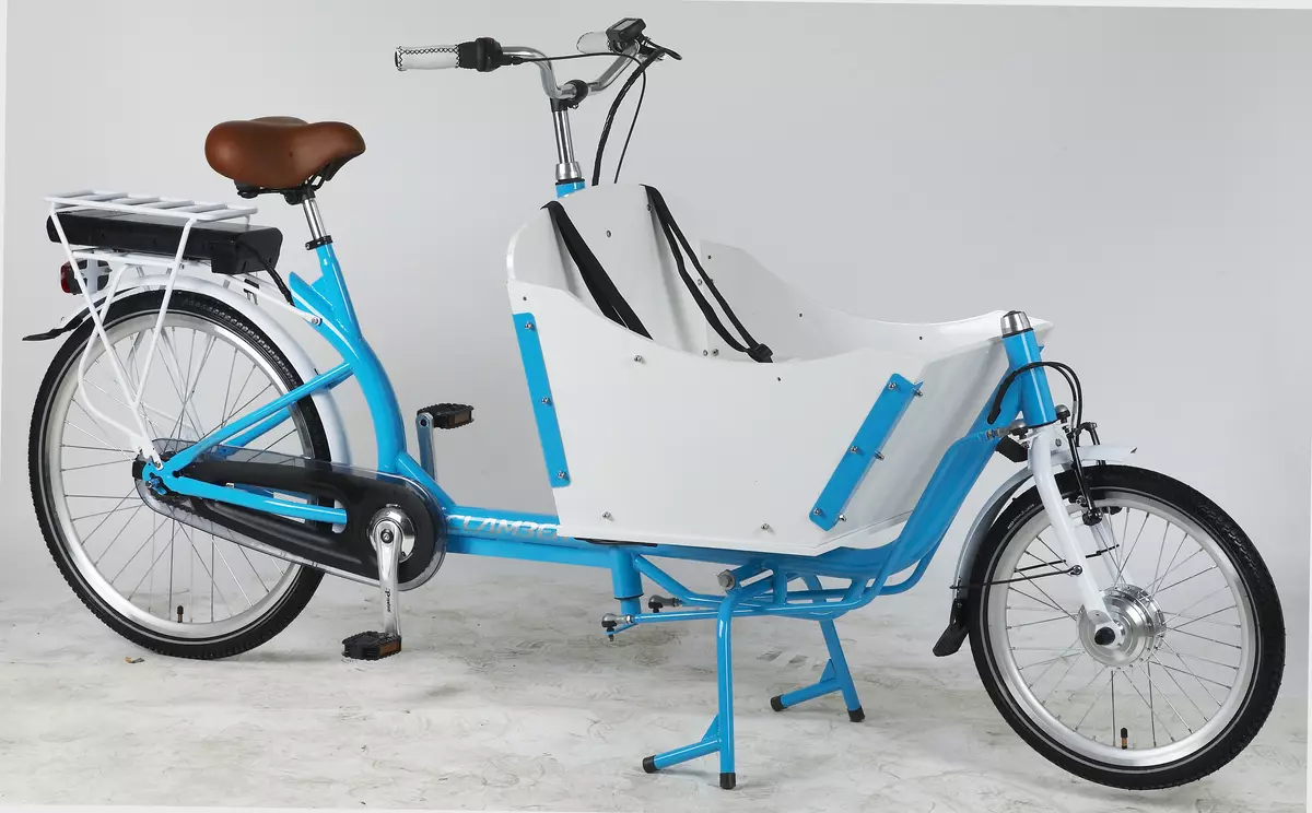 Driewielige fiets (37 foto's): selectie van een model met een mand voor ouderen en gehandicapten. Eigendom beoordelingen 8495_23