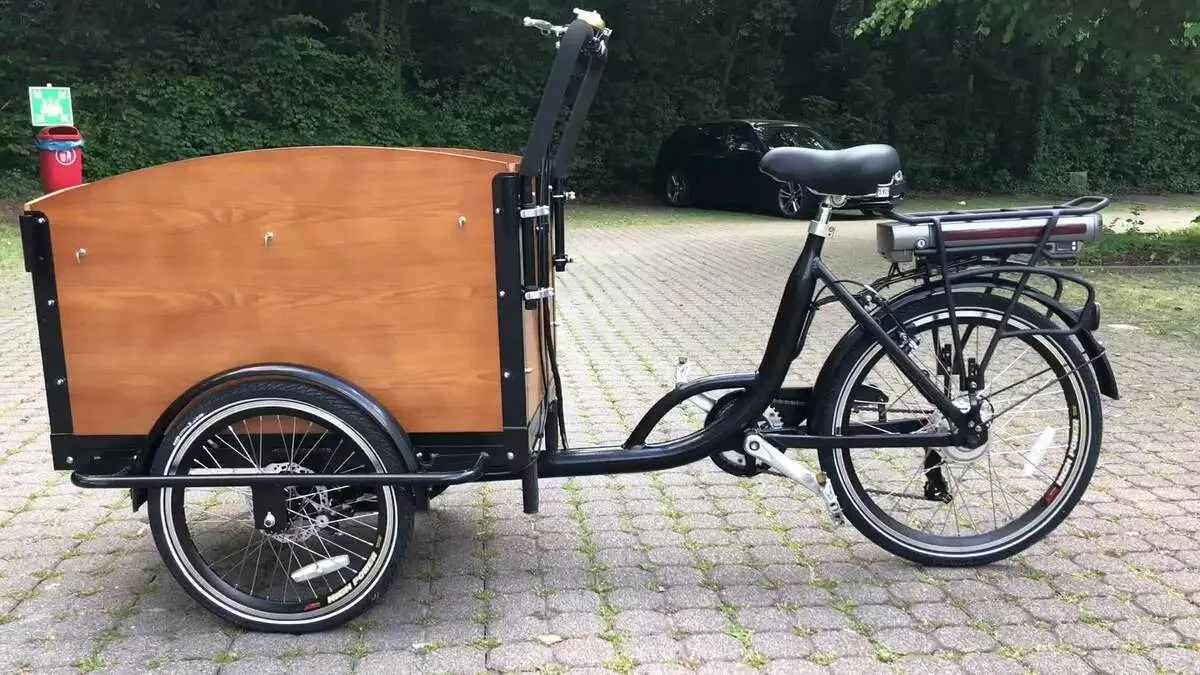 Bicicleta de tres rodas (37 fotos): Selección dun modelo cunha cesta para persoas maiores e desactivadas. Revisións de propiedade 8495_24