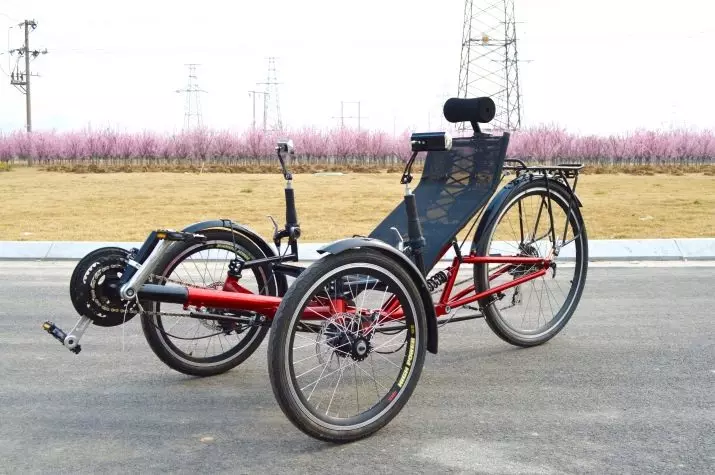 Bicicleta de tres rodas (37 fotos): Selección dun modelo cunha cesta para persoas maiores e desactivadas. Revisións de propiedade 8495_28