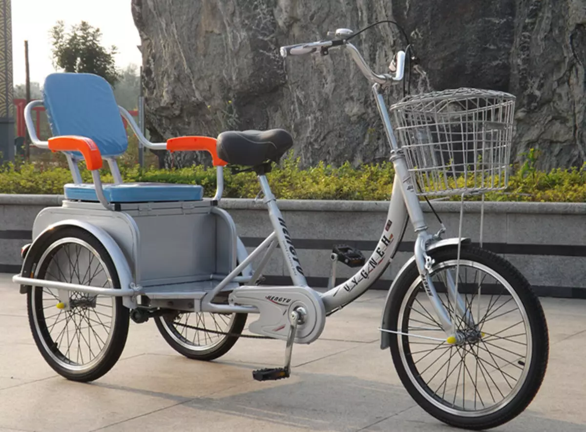 Bicicleta de tres rodas (37 fotos): Selección dun modelo cunha cesta para persoas maiores e desactivadas. Revisións de propiedade 8495_29
