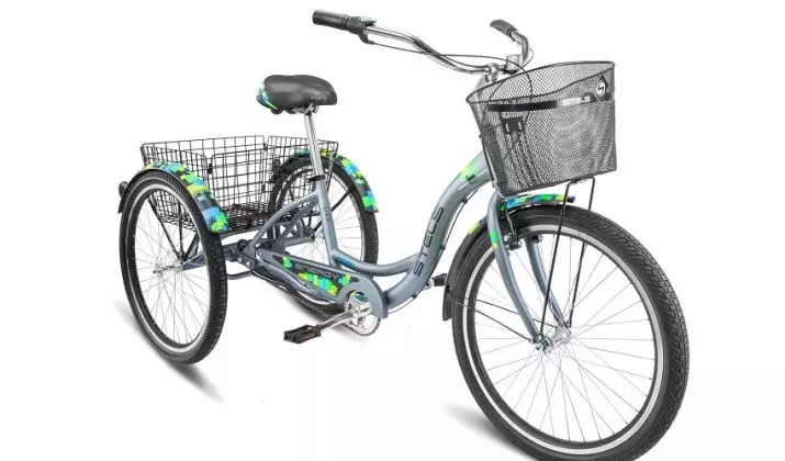 Trojkolesový dospelý bicykel (37 fotiek): výber modelu s košom pre staršie osoby a zakázané. Recenzie vlastníctva 8495_32