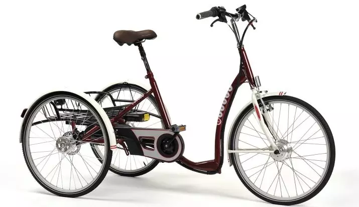 Sepeda dewasa roda tiga (37 foto): pemilihan model dengan keranjang untuk lansia dan dinonaktifkan. Kepemilikan Ulasan 8495_34