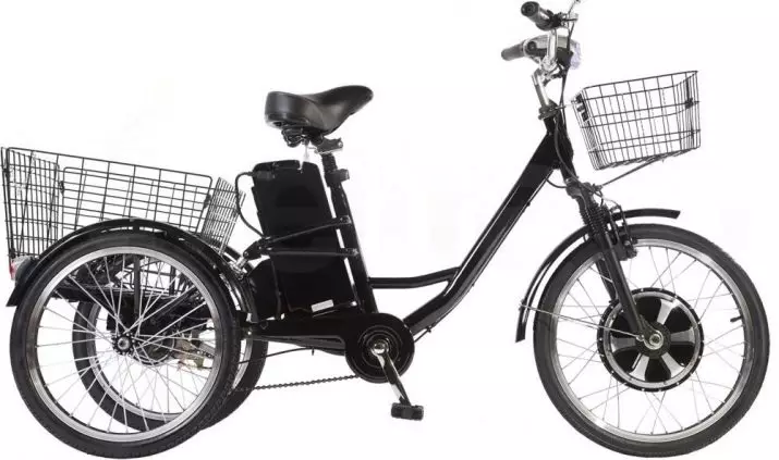Trojkolesový dospelý bicykel (37 fotiek): výber modelu s košom pre staršie osoby a zakázané. Recenzie vlastníctva 8495_35