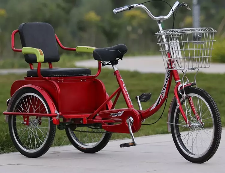 Bicicleta de tres rodas (37 fotos): Selección dun modelo cunha cesta para persoas maiores e desactivadas. Revisións de propiedade 8495_4