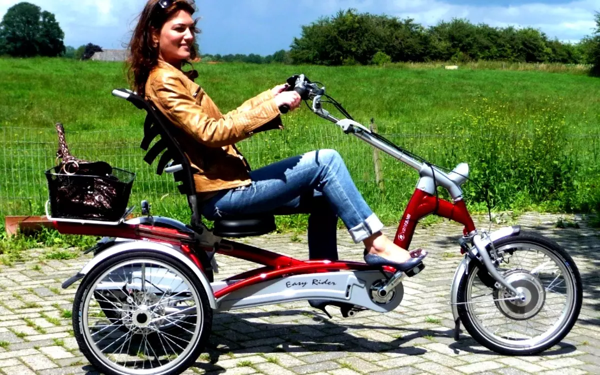Driewielige fiets (37 foto's): selectie van een model met een mand voor ouderen en gehandicapten. Eigendom beoordelingen 8495_5