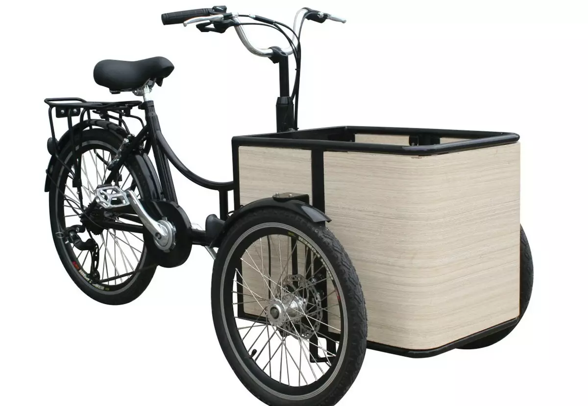 Bicicleta de tres rodas (37 fotos): Selección dun modelo cunha cesta para persoas maiores e desactivadas. Revisións de propiedade 8495_7