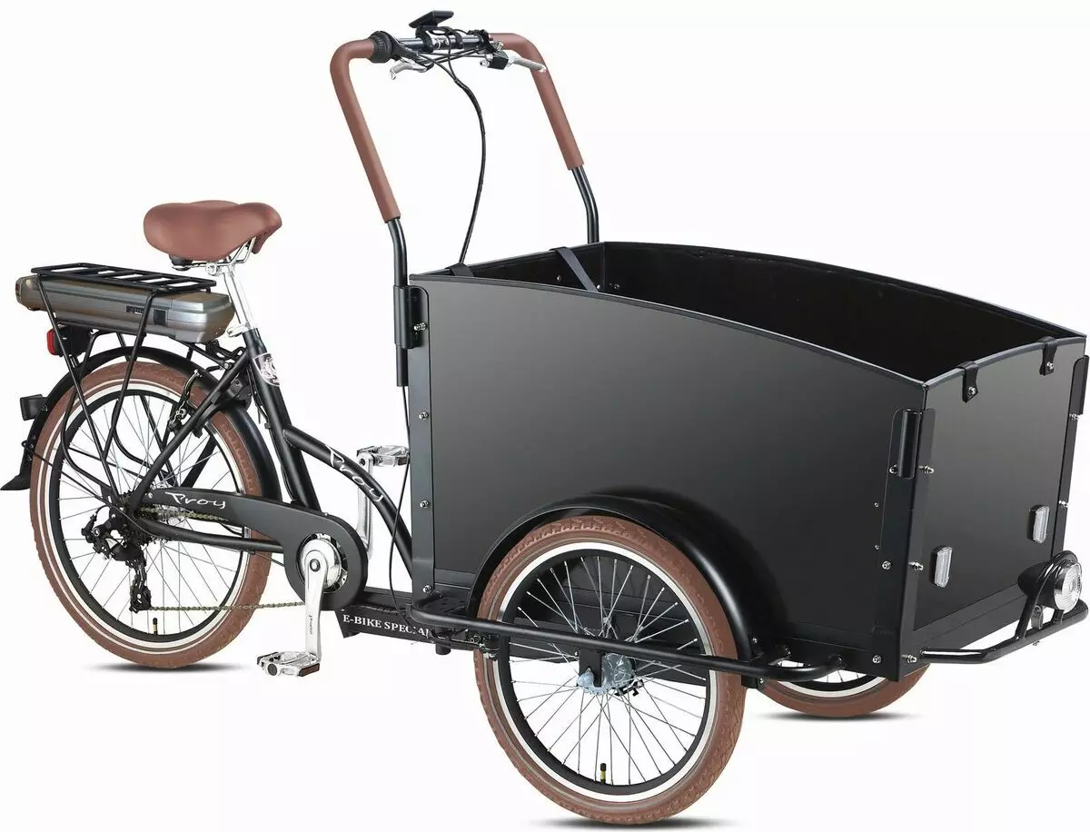 Bicicleta de tres rodas (37 fotos): Selección dun modelo cunha cesta para persoas maiores e desactivadas. Revisións de propiedade 8495_8