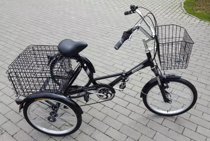 Three-wheeled adult bike (37 photos): selection of a model with a basket for the elderly and disabled. Ownership reviews 8495_9