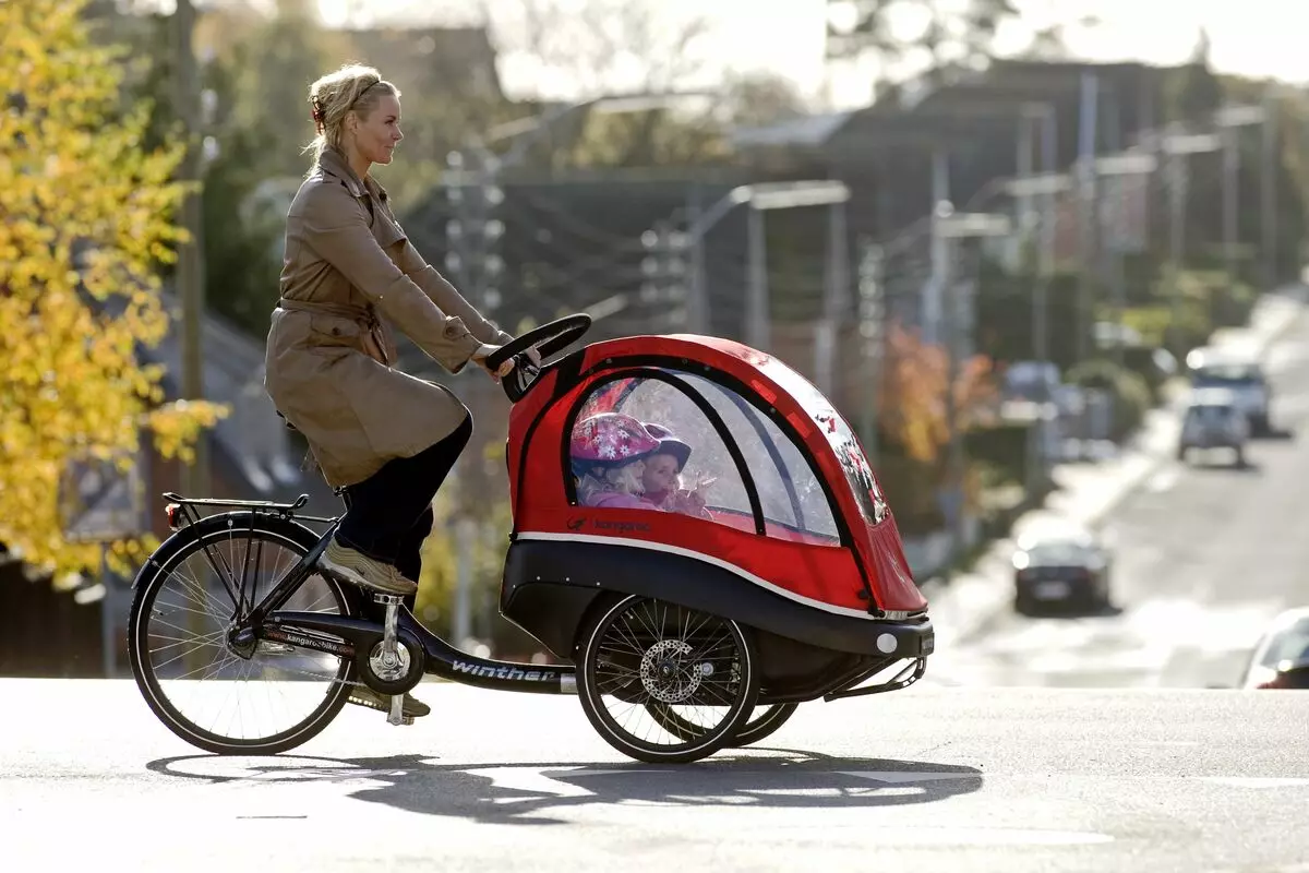 Fahrrad für Zwillinge: Doppeltrycle von Kindern mit Twins-Griff, Models mit zwei Stühlen für Kinder verschiedener Altersgruppen 8505_19