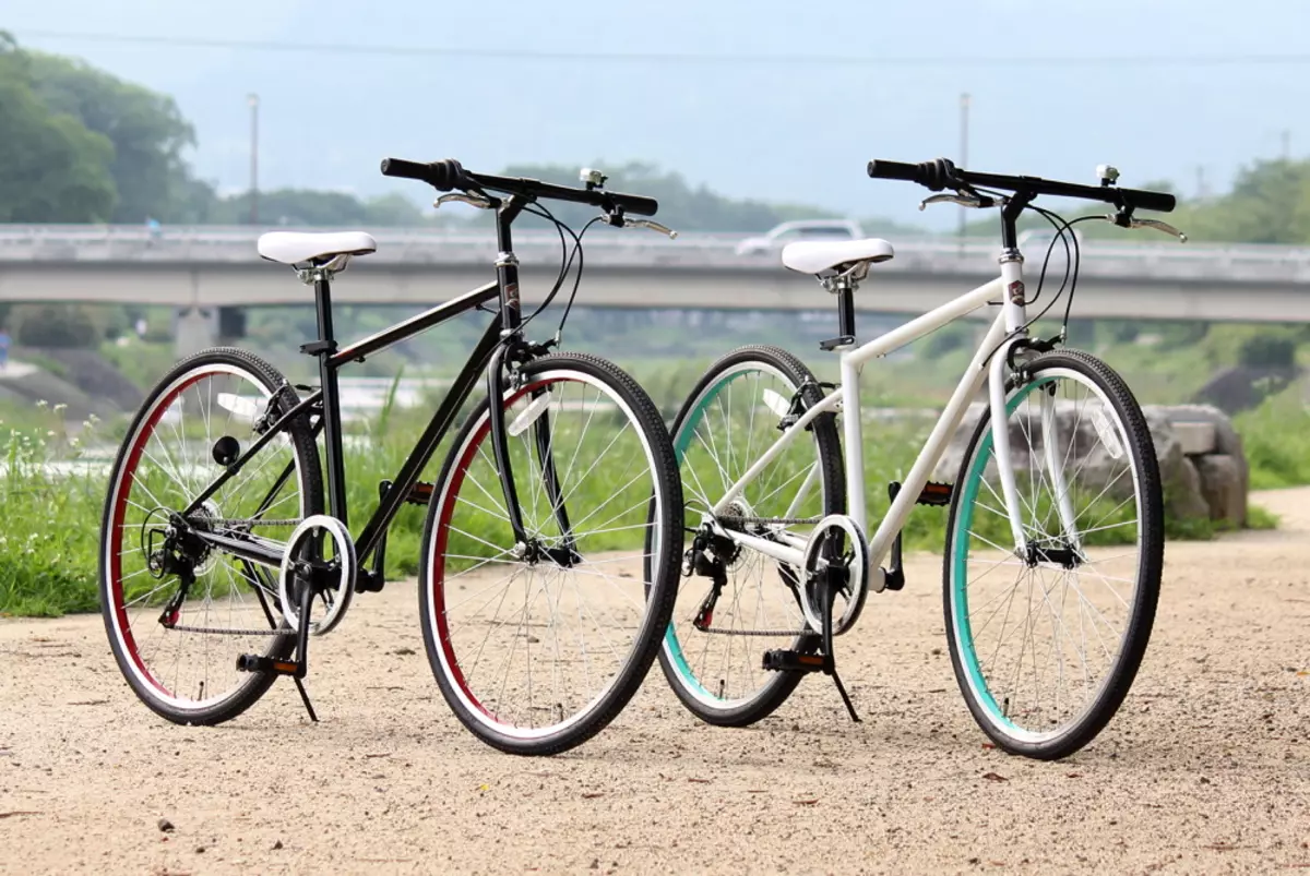 Բարձր արագությամբ հեծանիվներ (45 լուսանկար). Մեծահասակների միանգամյա արագությամբ կանանց ծալովի հեծանիվներ եւ քաղաքային մայրուղու մոդելներ, այլ տարբերակներ: Ինչ են դրանք տարբերվում լեռնային հեծանիվներից: 8517_39