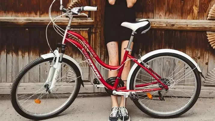 Ženske bicikle (64 fotografije): urbani, zadovoljstvo, sklopivi i drugi modeli. Kako odabrati bicikl za ženu? 8521_51