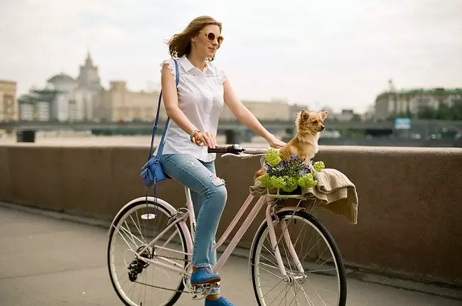 Ženske bicikle (64 fotografije): urbani, zadovoljstvo, sklopivi i drugi modeli. Kako odabrati bicikl za ženu? 8521_64