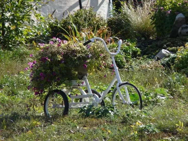 Staro kolo v vrtu Design (50 fotografij): kolesa Clonged in Cachet Bike s cvetjem v krajinskem oblikovanju na koči 8522_13