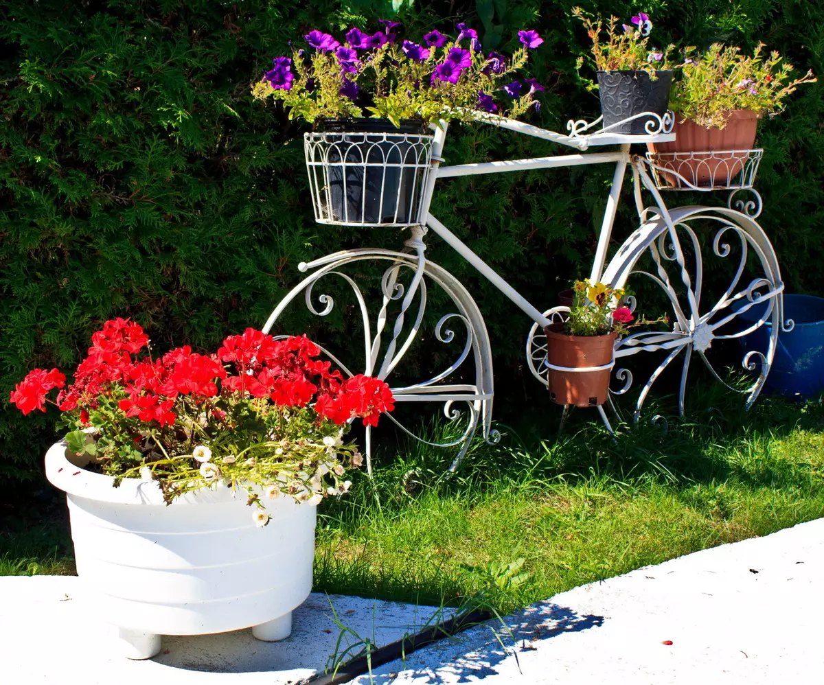 Staro kolo v vrtu Design (50 fotografij): kolesa Clonged in Cachet Bike s cvetjem v krajinskem oblikovanju na koči 8522_2