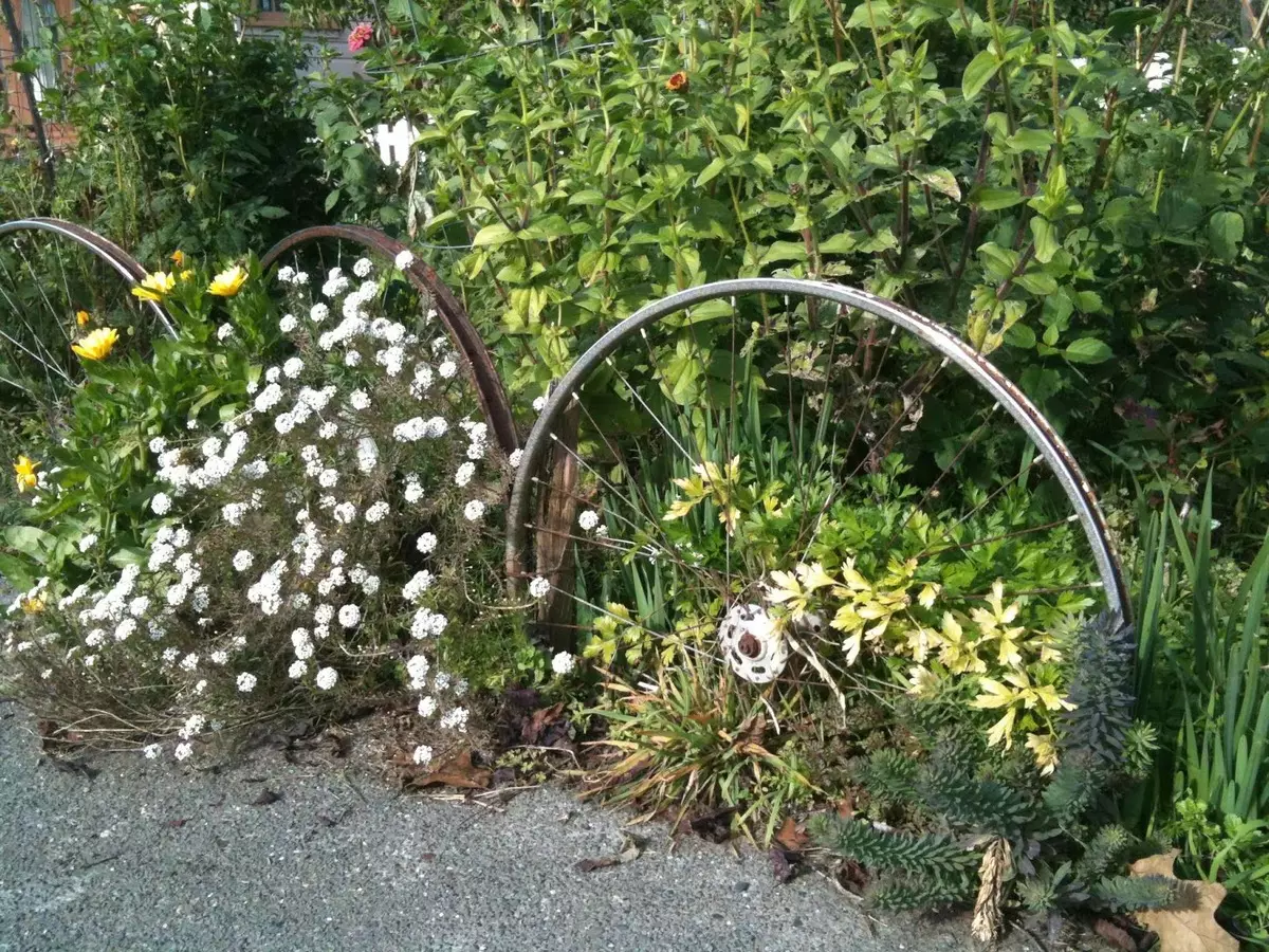 Staro kolo v vrtu Design (50 fotografij): kolesa Clonged in Cachet Bike s cvetjem v krajinskem oblikovanju na koči 8522_20