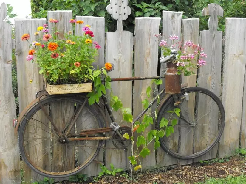 Daang bike sa tanaman design (50 litrato): bisikleta flowerbed ug cachet bike uban sa mga bulak sa talan-awon disenyo sa cottage 8522_23