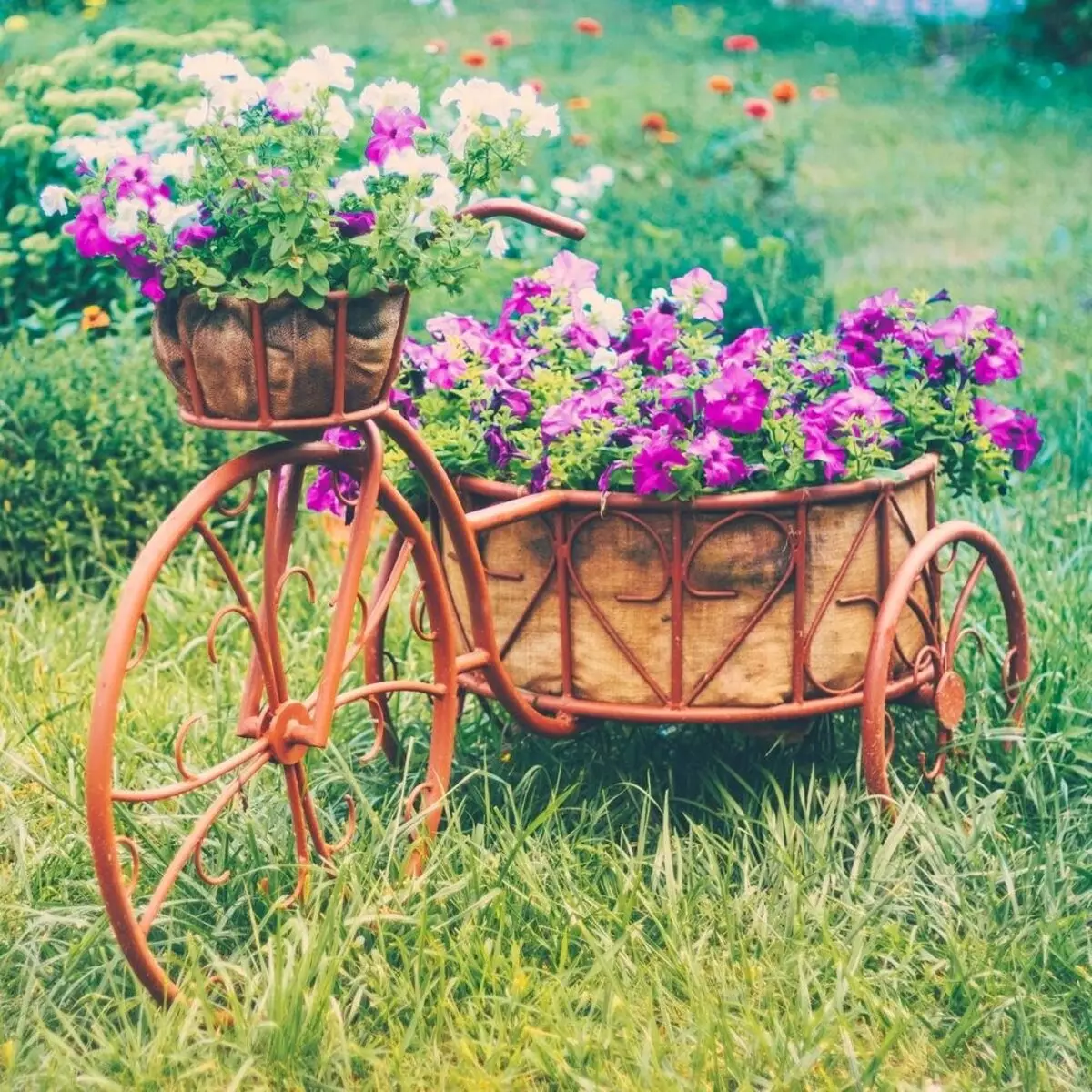 Régi kerékpár a kerti tervezésben (50 fotó): Kerékpár virágágyás és cachet kerékpár virágokkal a tájképben a házban 8522_27