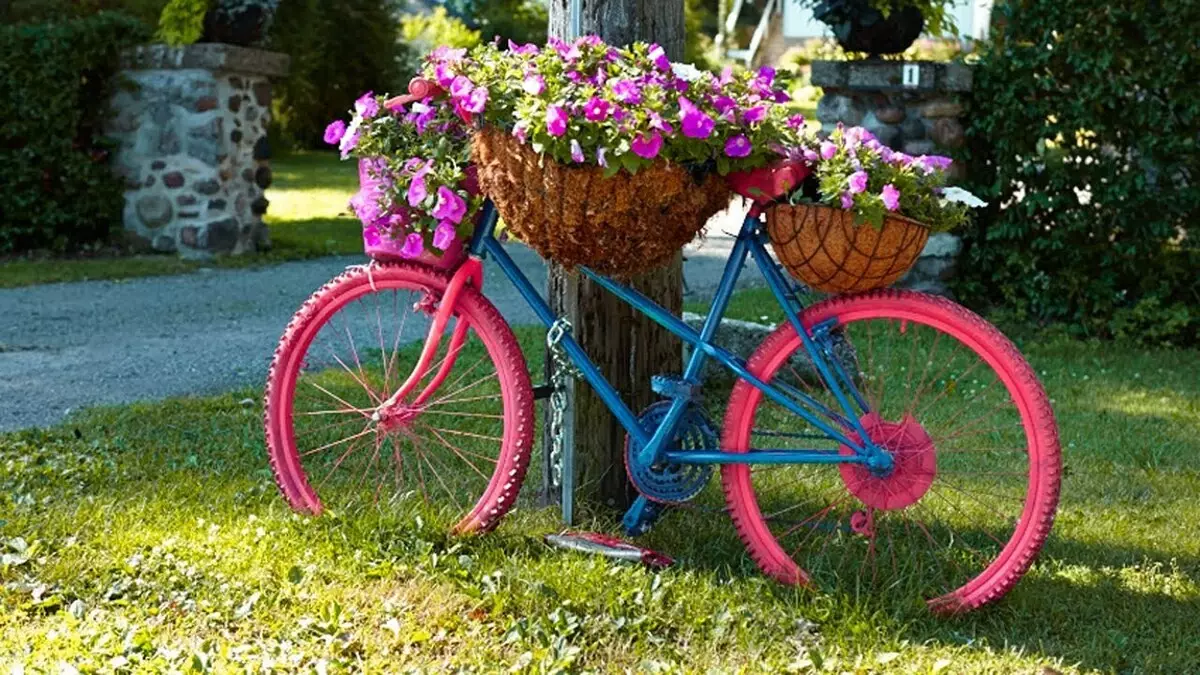 Staro kolo v vrtu Design (50 fotografij): kolesa Clonged in Cachet Bike s cvetjem v krajinskem oblikovanju na koči 8522_28