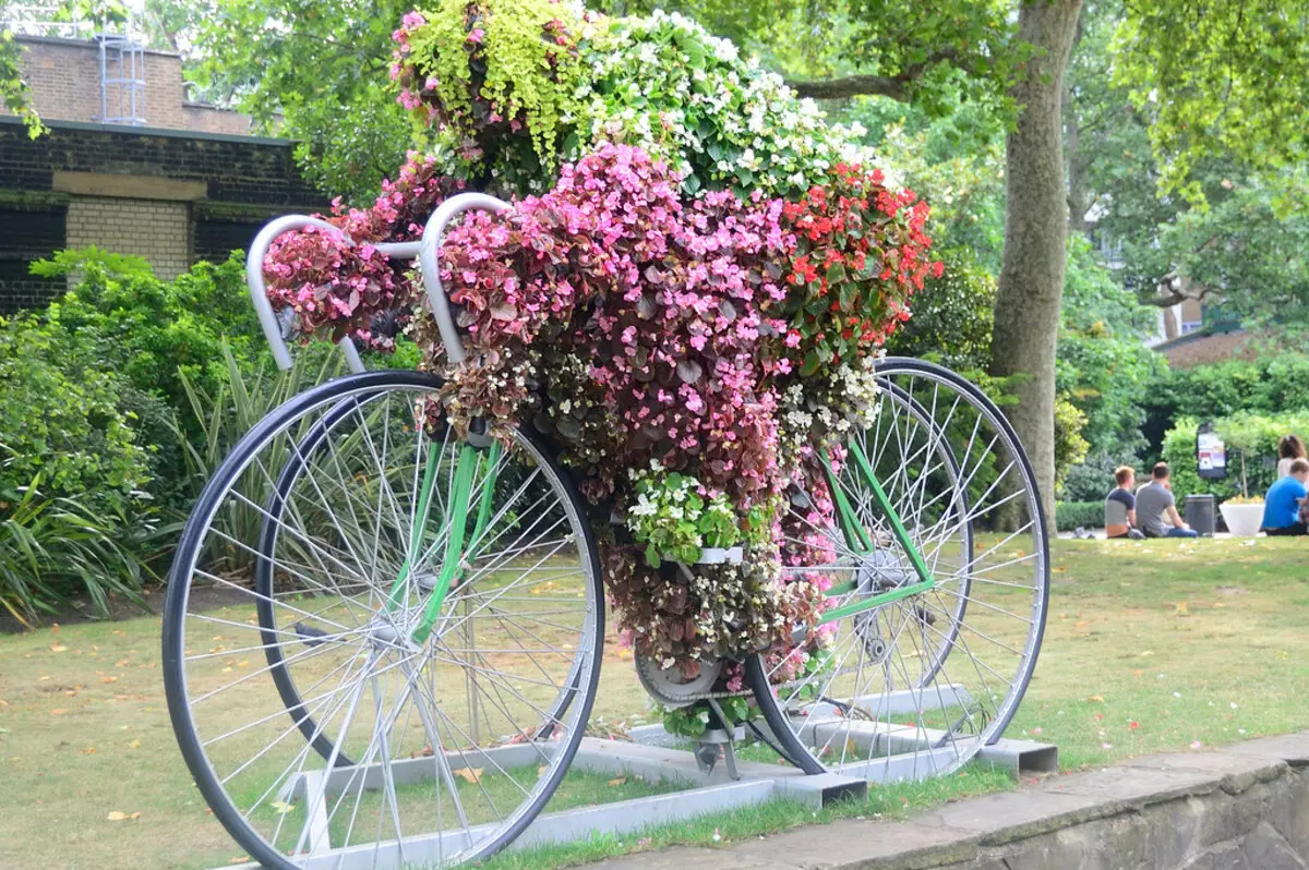 Staro kolo v vrtu Design (50 fotografij): kolesa Clonged in Cachet Bike s cvetjem v krajinskem oblikovanju na koči 8522_29