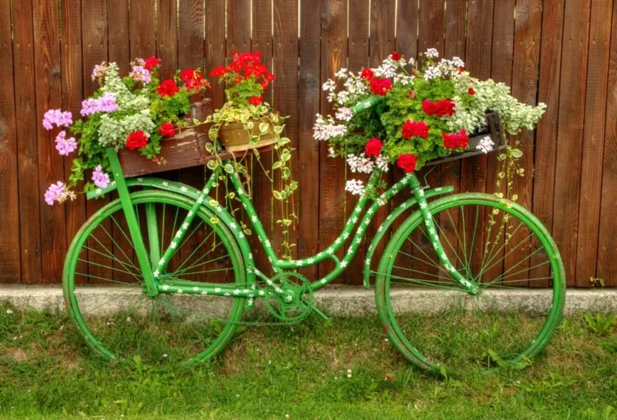 Régi kerékpár a kerti tervezésben (50 fotó): Kerékpár virágágyás és cachet kerékpár virágokkal a tájképben a házban 8522_34