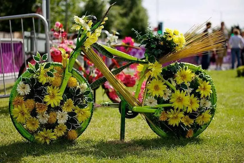 Staro kolo v vrtu Design (50 fotografij): kolesa Clonged in Cachet Bike s cvetjem v krajinskem oblikovanju na koči 8522_35