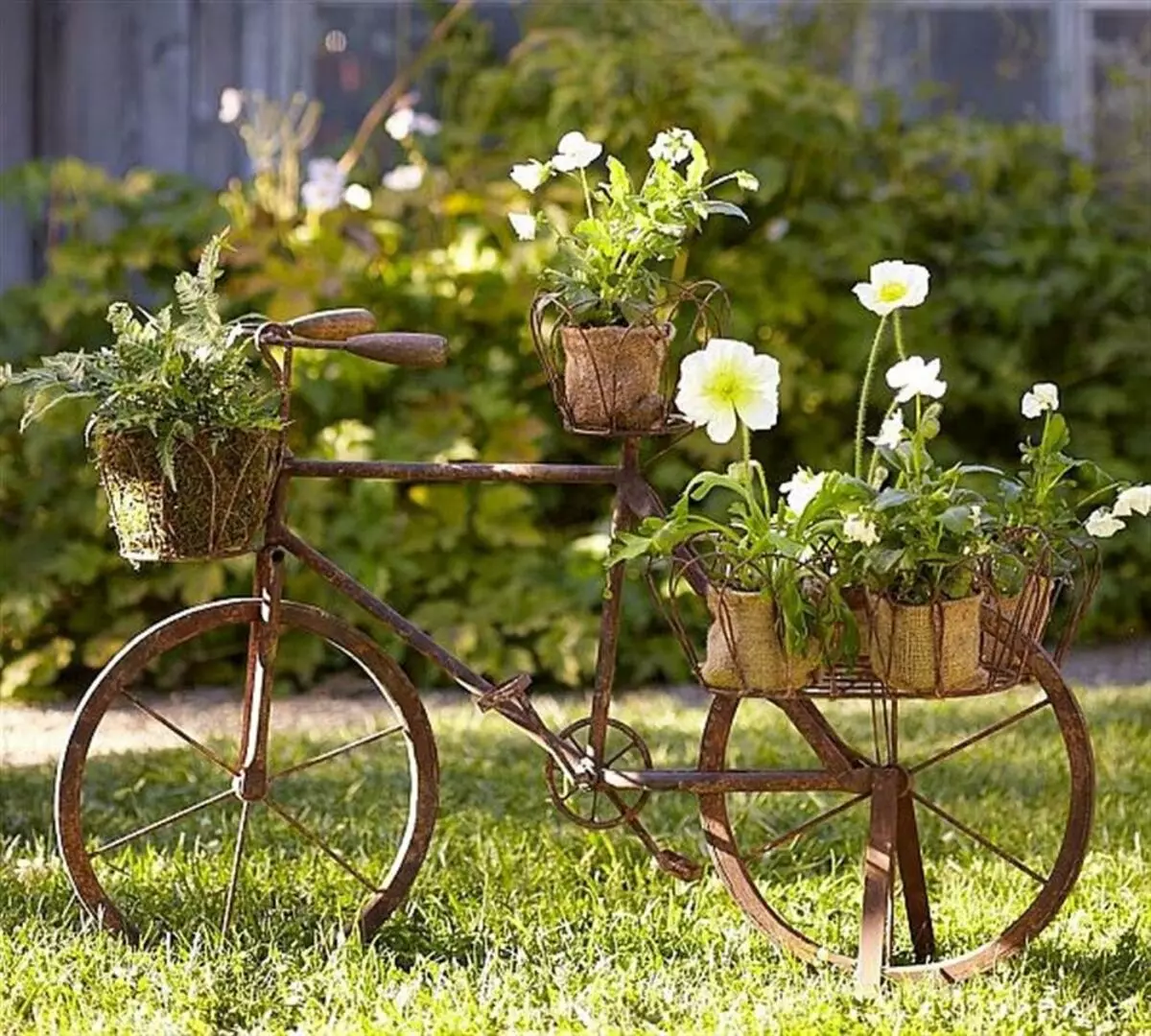 Staro kolo v vrtu Design (50 fotografij): kolesa Clonged in Cachet Bike s cvetjem v krajinskem oblikovanju na koči 8522_4