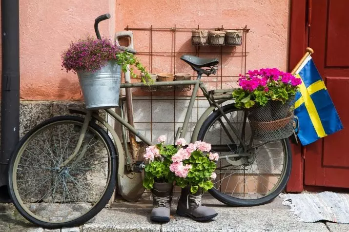 Régi kerékpár a kerti tervezésben (50 fotó): Kerékpár virágágyás és cachet kerékpár virágokkal a tájképben a házban 8522_43