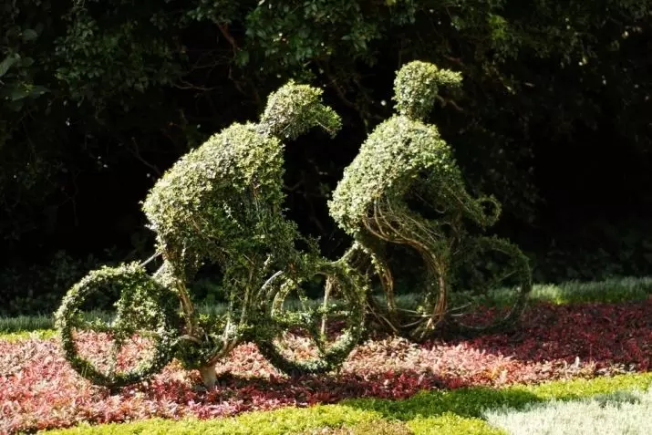 Staro kolo v vrtu Design (50 fotografij): kolesa Clonged in Cachet Bike s cvetjem v krajinskem oblikovanju na koči 8522_45