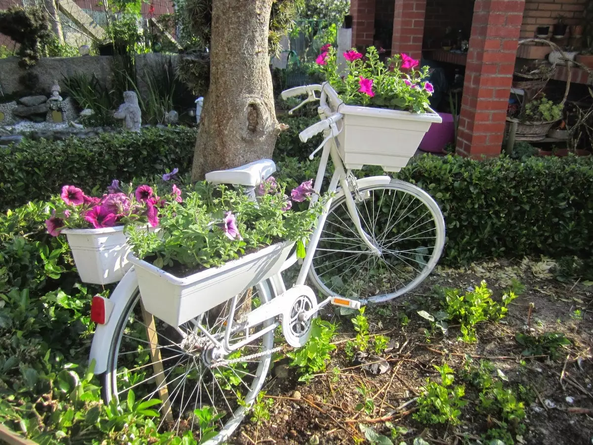 Régi kerékpár a kerti tervezésben (50 fotó): Kerékpár virágágyás és cachet kerékpár virágokkal a tájképben a házban 8522_6