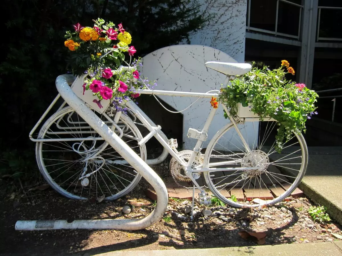 Régi kerékpár a kerti tervezésben (50 fotó): Kerékpár virágágyás és cachet kerékpár virágokkal a tájképben a házban 8522_9