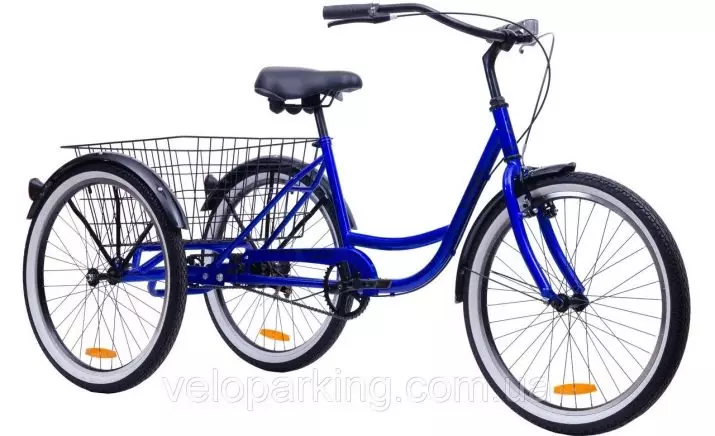 كل شيء عن دراجات الشحنات (24 صورة): اختر دراجة ثلاثية العجلات بالغين مع سلة لنقل البضائع من الإنتاج الروسي 8526_2
