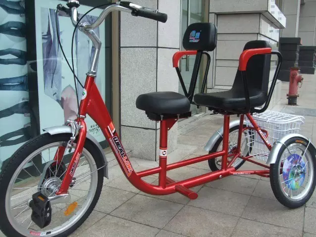 Tudo sobre bicicletas de carga (24 fotos): Escolha um triciclo adulto com uma cesta para o transporte de mercadorias da produção russa 8526_20