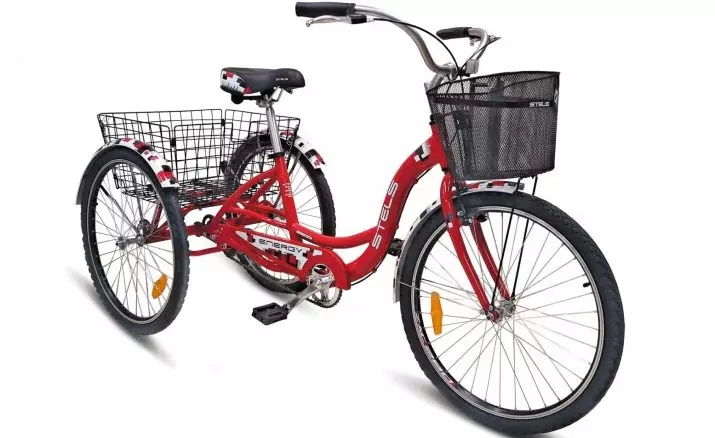 Все про вантажні велосипедах (24 фото): вибираємо дорослий триколісний велосипед з кошиком для перевезення вантажів російського виробництва 8526_22