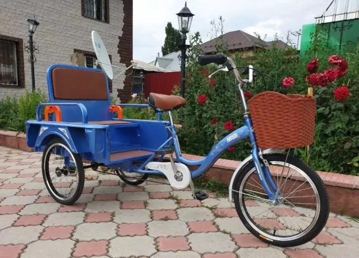 Allt om fraktcyklar (24 bilder): Välj en vuxen tricycle med en korg för transport av gods av rysk produktion 8526_5