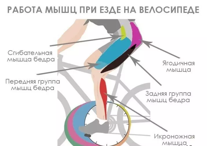 Πλαίσιο Ποδηλασίας Ανάπτυξης: Πίνακας Rostovki για άνδρες, μέγεθος πλαισίου για τις γυναίκες 8527_19