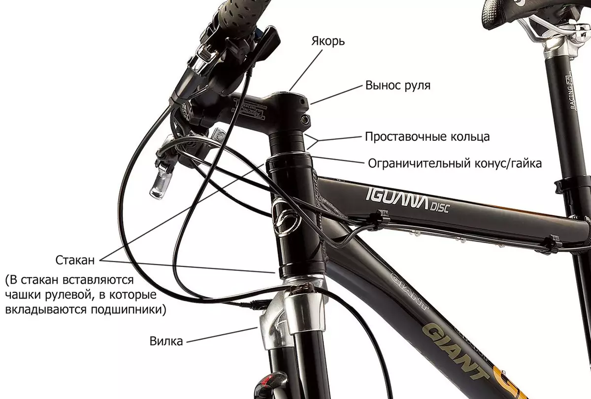 Kresko-Bicikla Kadro: Tablo de Rostovki por viroj, kadro-grandeco por virinoj 8527_23